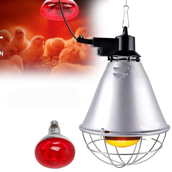 Reptiles lampe chauffante terrarium, 250W lampe rouge terrarium pour poules, E27 lampe chauffante infrarouge pour poules, chiens, cochons, mammifères