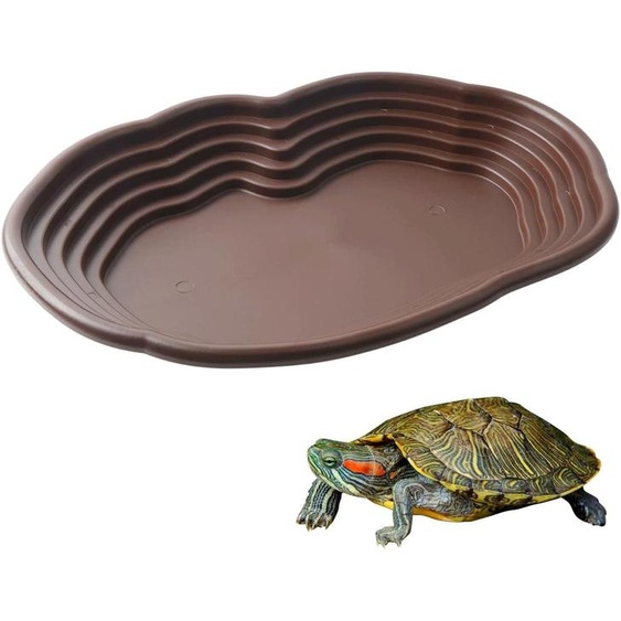 Réservoir en plastique pour reptiles, incliné, dimensions 39 x 27 x 5 cm, antidérapant, adapté aux amphibiens