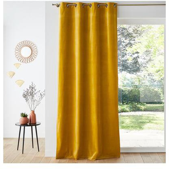 Rideau velours oeillets Velvet