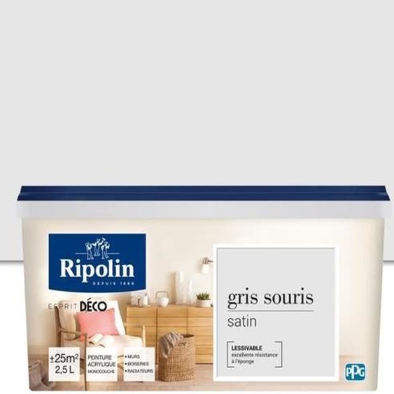 RIPOLIN Bac à sable toutes pièces - Gris souris satiné, 2.5L