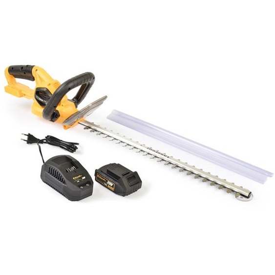 Riwall RAHT 5220 SET 51 cm 20 V cisailles électriques sans fil