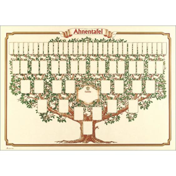 RNK VERLAG Arbre généalogique arbre esquissé, 70 x 50 cm