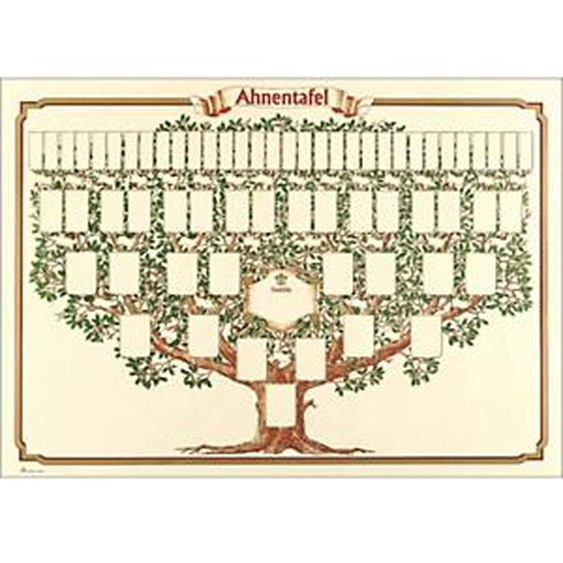 RNK VERLAG Arbre généalogique arbre esquissé, 70 x 50 cm