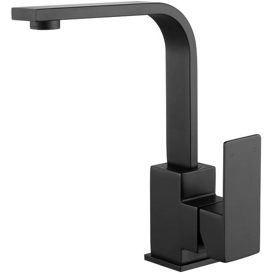 Robinet de cuisine pivotant à 360°, en acier inoxydable, noir, avec 2 tuyaux