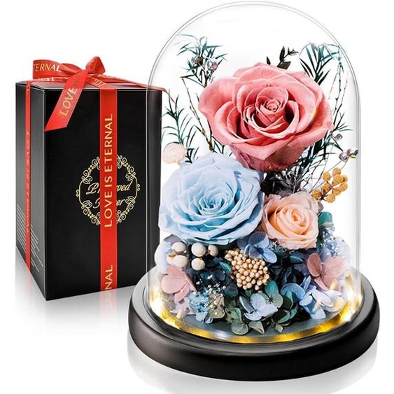 Rose éternelle dans un vase avec éclairage LED, rose, cadeau romantique pour elle