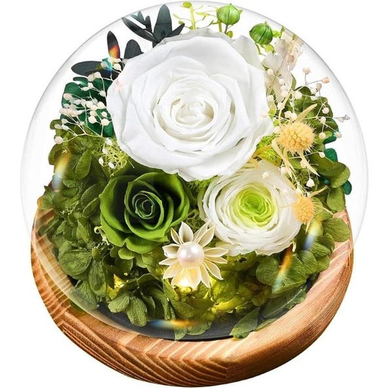 Roses éternelles Infinity dans un vase avec éclairage | Fleurs conservées avec coffret cadeau | Blanc | Décoration et cadeau