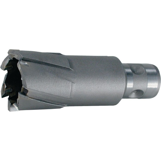 Ruko Carotteuse diamètre 20mm HM longueur 50mm Quick IN - 1081120