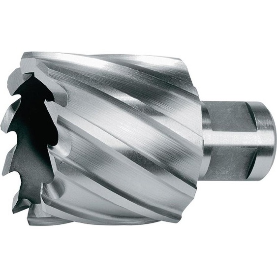 Ruko carotteuse diamètre 29mm HSS-Co longueur 30mm Weldon - 108229E
