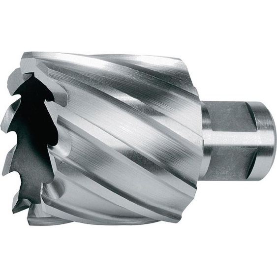Ruko Carottier Diamètre 31mm HSS-Co Longueur 30mm Weldon - 108231E