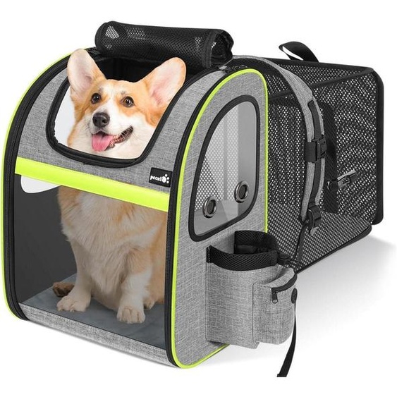 Sac à dos pour chien extensible, taille XL, gris, pour animaux de compagnie de 6 à 10 kg, avec fenêtre transparente