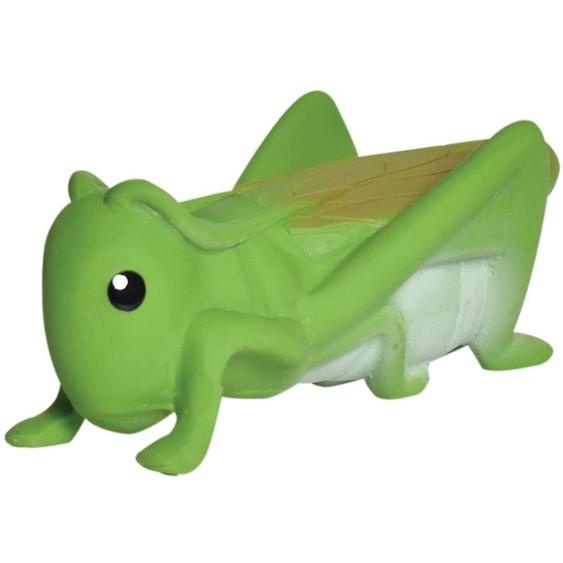 Sauterelle En Caoutchouc Naturel Vert