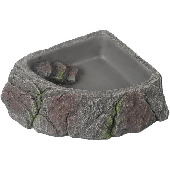Schale en plastique, couleur anthracite, dimensions 12,5 x 12 x 3,2 cm, pour reptiles