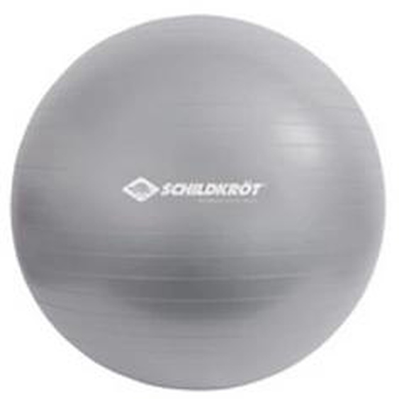 SCHILDKRÖT Ballon de gymnastique, diamètre: 550 mm, argent