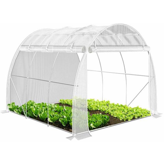 Serre de jardin tunnel Toute Saison 6m² - 3L x 2l x 2H m - fenêtres et portes latérales zippées enroulables, barre anti-tempête