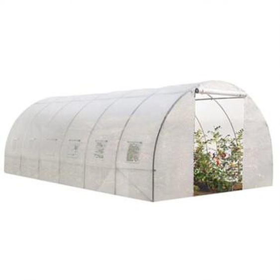 Serre tunnel de jardin 18M² blanche gamme maraîchère crimée 6x3 m