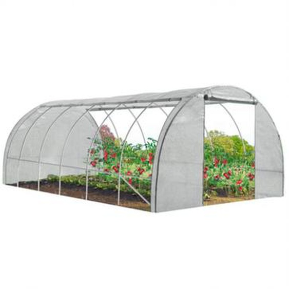Serre tunnel de jardin 4 saisons 18M² blanche gamme maraîchère crimée 6x3M