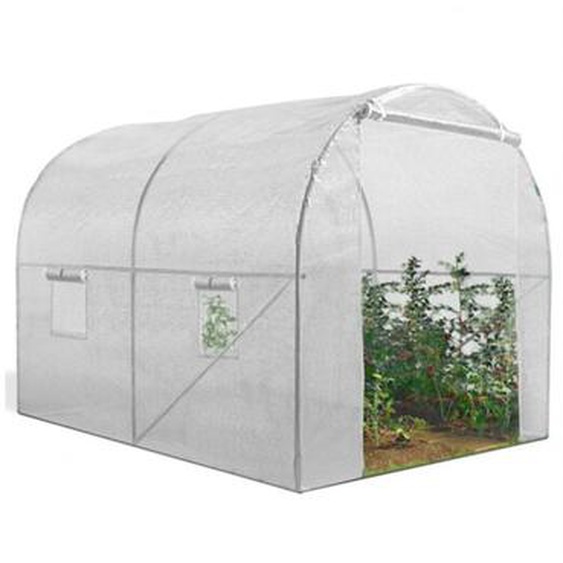 Idmarket - Serre tunnel de jardin roma - 6M² - Blanche - Gamme maraîchère - 2x3M