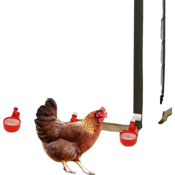 Set dabreuvement pour poules, 8 bols, 160*10 cm, diamètre du tube 0,57 cm, poids brut 1,7 kg, poids net 1,61 kg