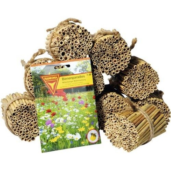 set de 1000 tiges de roseaux dobar, matériau de remplissage pour hôtels à insectes, cavités de nidification pour abeilles sauvages, longueur 9 cm
