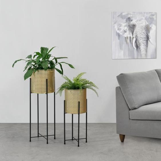 Set de 2 Supports de Plante Mol Noir Doré - EN.CASA - Contemporain - Design - Métal