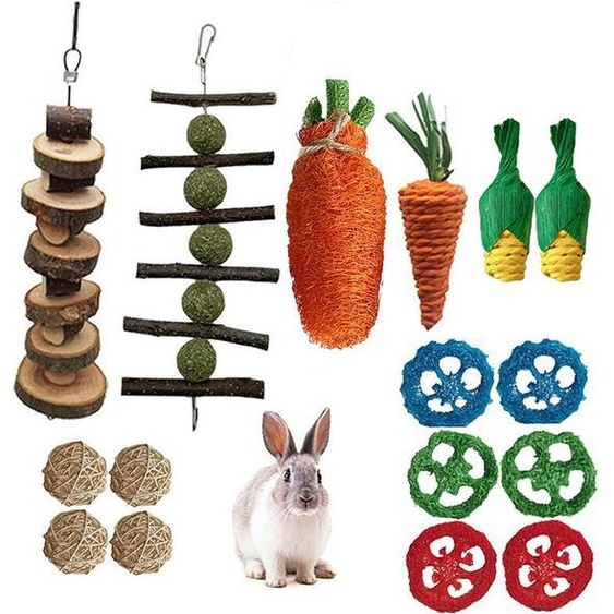 set de 20 jouets à mâcher pour rongeurs, Friandises de lapin et balle Timothy Hay Stick Toys Pour lhygiène dentaire des lapins et des cochons dInde