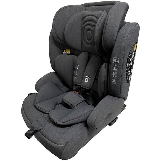 Siège Auto 76-150cm Routefix Gris