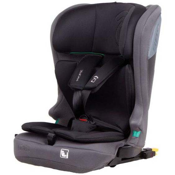 Siège Auto Profix Gris