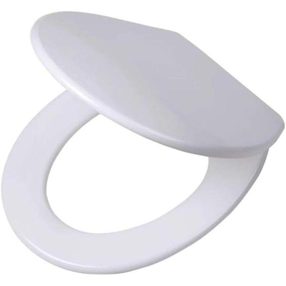 Siège de toilette Tiger WC-Sitz Boston, matériau Duroplast, couleur blanche/acier inoxydable brossé, référence 252960946