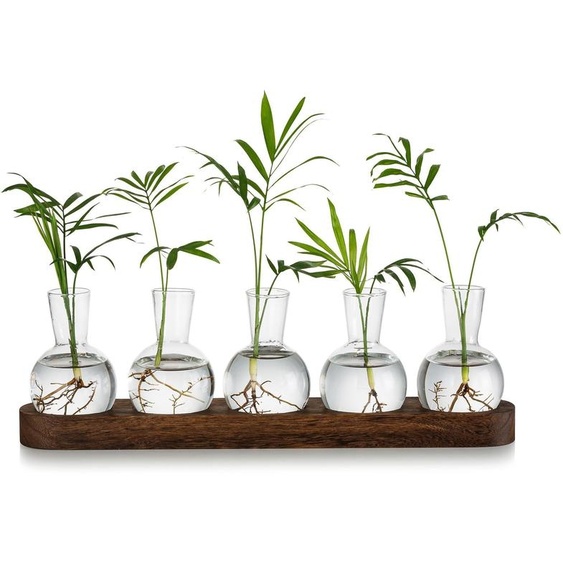 Solidchoice - Station de propagation en verre avec plateau en bois