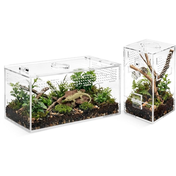 Solidchoice - Terrarium en acrylique pour araignées sauteuses, lot de 2