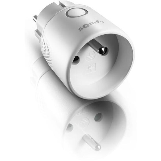 Somfy - 1822617 - Prise télécommandée on/off io intérieure type e - Compatible app TaHoma
