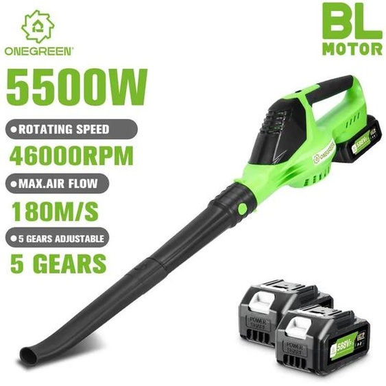 Souffleur de feuilles et de neige sans fil - Souffleur turbo - Moteur sans balais - 5500 W - 180 m/s - 5 niveaux - 2 batteries, prise UE - Vert