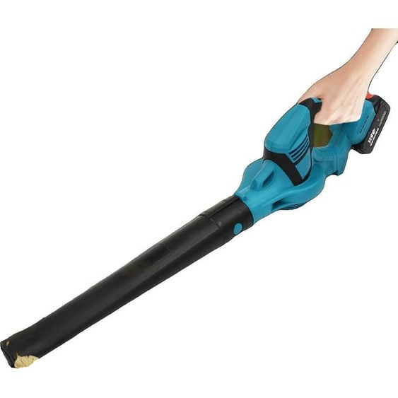 Souffleur de feuilles sans fil, flux dair puissant, recharge rapide, une batterie