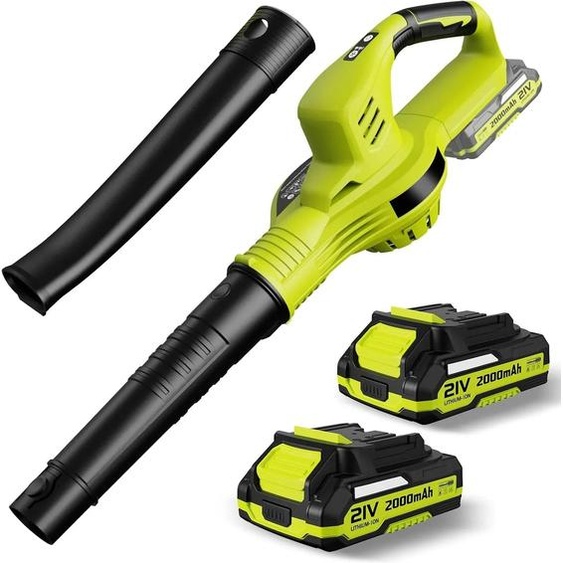 Souffleur de feuilles sans fil - Puissant outil de jardinage avec 2 batteries 18V - 2 vitesses - Léger et portable