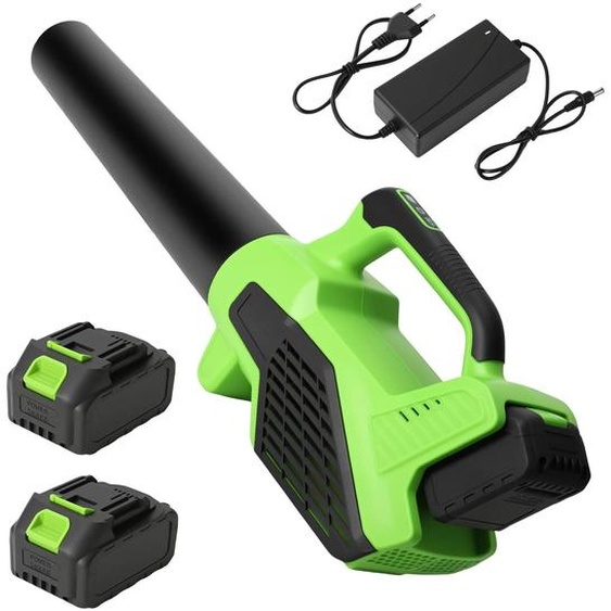 Souffleur de feuilles - Souffleur de feuilles électrique sans fil - Sans balais - 15000 tr/min - 6 vitesses - 2 batteries - Pour feuilles, poussière et neige