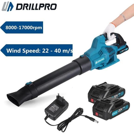 Souffleur de feuilles - Souffleur sans fil - Moteur sans balais - 6 vitesses - 8000-17000 tr/min - 22-40 m/s - 1 batterie incluse - Léger