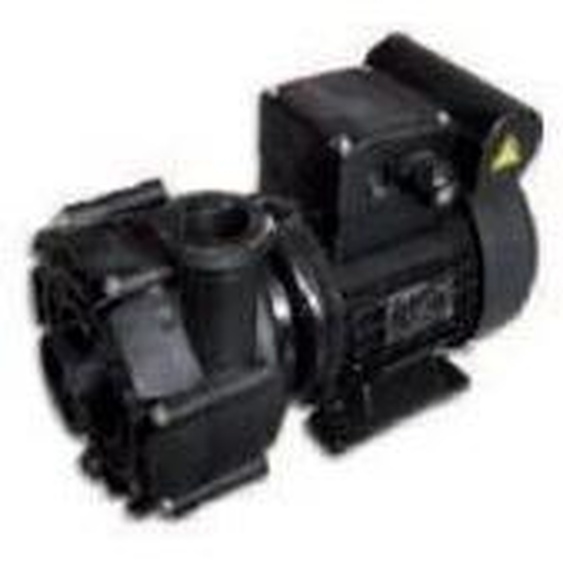 Speck pumpen Pompe SPECK21-40/53G de 0.55KW + ( GS14) + 2 raccords PVC
