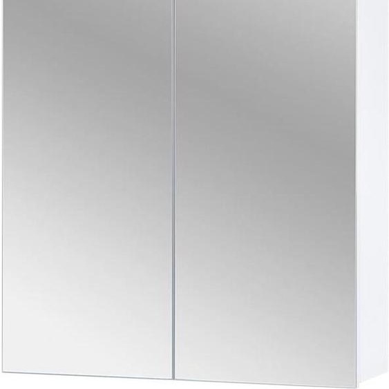 Spiegelschrank Badezimmerschrank Badspiegel 60x20x70 cm Schränke Bad Einrichtung