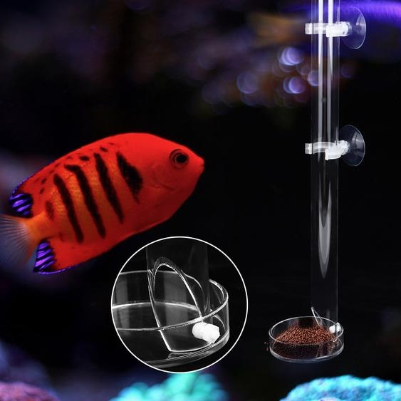 Station dalimentation en acrylique, transparent, durable, avec plateau, 40cm, pour poissons daquarium et crevettes