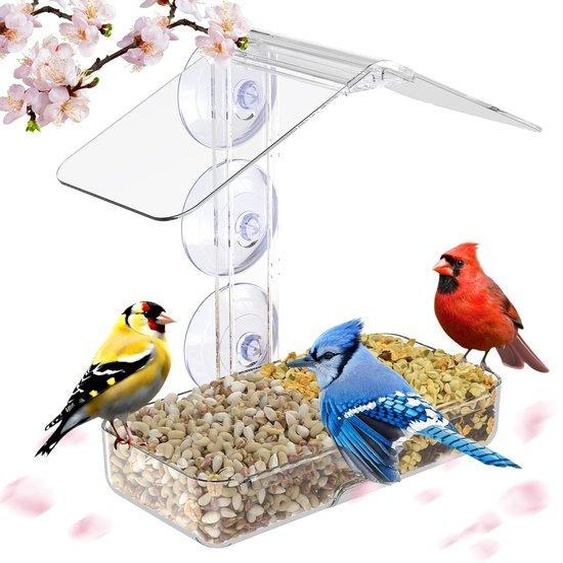 Station dalimentation pour oiseaux Ibenzoa® en acrylique transparent – mangeoire robuste à fixer à la fenêtre, équipée de 3 ventouses renforcées, dimensions : 24 x 24 x 10,5 cm, nettoyage facile