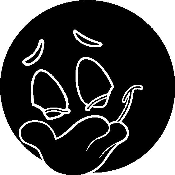 Stickers Bonhomme Rigolo