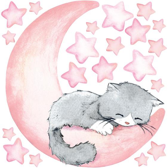 Stickers chat et étoiles magiques