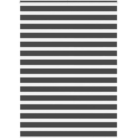 Store zèbre noir 155x200 cm largeur du tissu 150,9 cm polyester