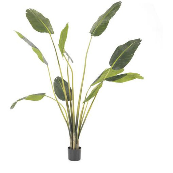 Strelitzia - Plante artificielle H173cm - Couleur - Vert