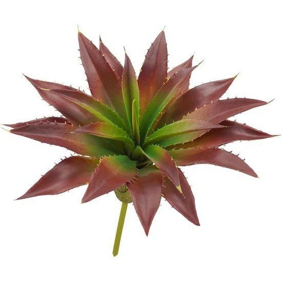 Succulente en plastique réaliste - 32 cm de large - Vert brun