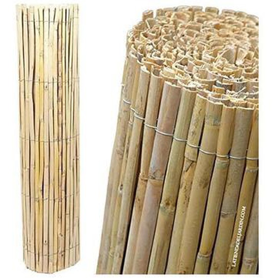 Suinga - Canisse naturelle fendue pour jardin 1,2 x 5 m. Canisse en Roseau Nature pour loccultation, la délimitation ou lombrage
