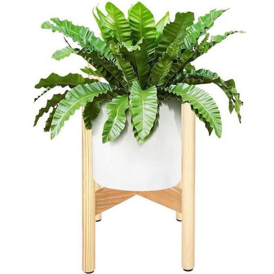Support pour plantes en bois SPRINGOS® - Skandistyle - 19 x 19 x 35 cm - Verni - Naturel