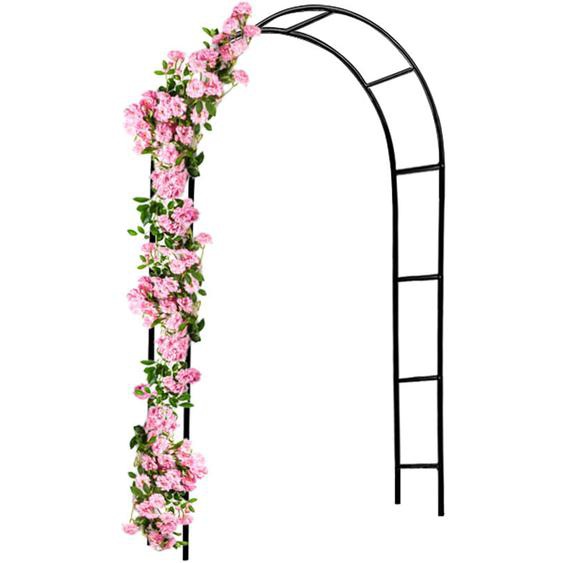 Support pour plantes grimpantes noir en métal Arche de jardin Tuteur plantes Décoration extérieure 1x Arche de jardin