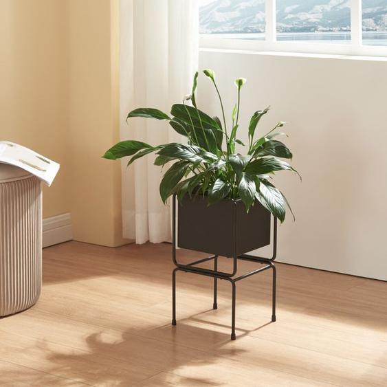 Support pour plantes Sveio métal 36 x 20 x 20 cm noir