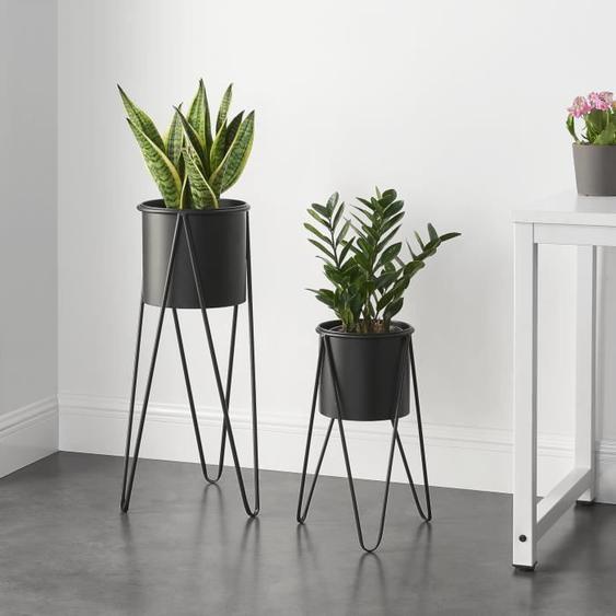 Supports de Plante - EN.CASA - Hedera Noir - Lot de 2 - Métal - Contemporain - Design